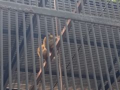 -广东茂名森林公园