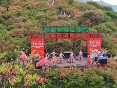 -大围山国家森林公园