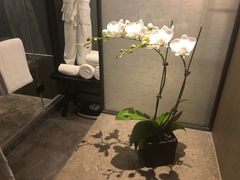 -北京三里屯CHAO酒店