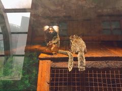-上海大自然野生昆虫馆(东方明珠·爬宠昆虫探索中心)