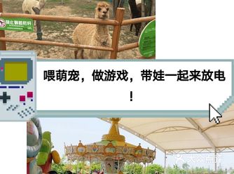 喂萌宠，做游戏，一起带娃来放电！