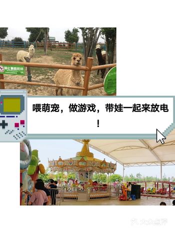 喂萌宠，做游戏，一起带娃来放电！