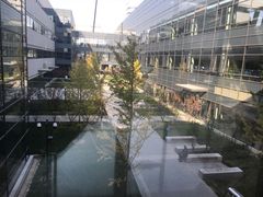 -首都医科大学附属北京天坛医院