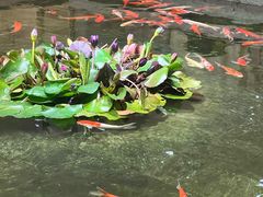 -惠食佳(滨江大公馆店)