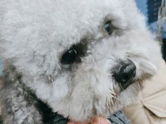 -暖阳宠物医院·犬猫康复中心·骨科
