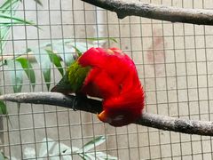 -大连森林动物园