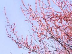 -渭河城市绿地运动公园