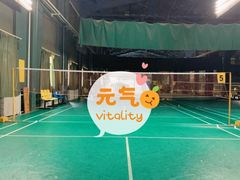 -东丽温泉羽毛球