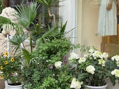-山与蓝·轻糖鲜果蛋糕(勒泰店)
