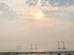 -宝安西湾红树林湿地公园