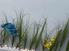 -福禄财东北菜(珠江帝景店)
