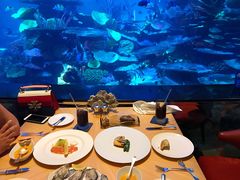 -迪拜帆船酒店海底餐厅