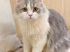 -猫和宫(六道口店)