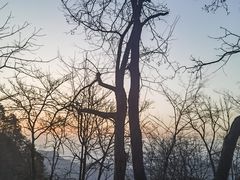 -老味道1992(武当山店)