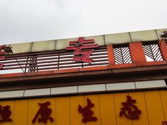 -蚝专家
