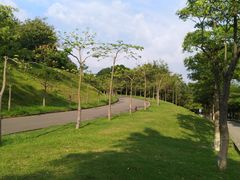 -华南师范大学(广州大学城校区)