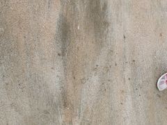 -嵊泗基湖沙滩