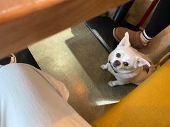 -Mesa Madre梅萨妈妈·Bintana(国贸店)