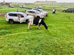 -莫日格勒旅游景区