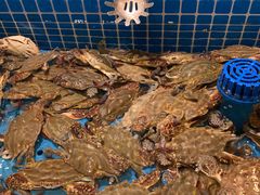 -蓝钻·国际美食海鲜自助百汇(西直门店)