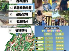 -深圳野生动物园