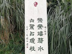 -重庆彩云湖湿地公园