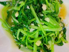 -乡绅本色白家厨坊