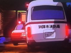 -钏路市丹顶鹤自然公园