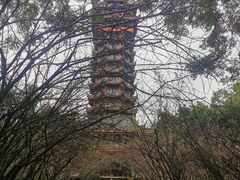 -塔子山公园