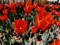 -长春公园(普阳街道)