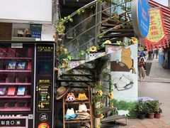 -猫咪博物馆(顶澳仔猫街店)