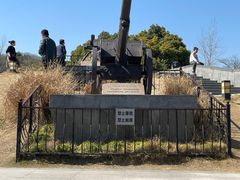 -上海吴淞炮台湾国家湿地公园