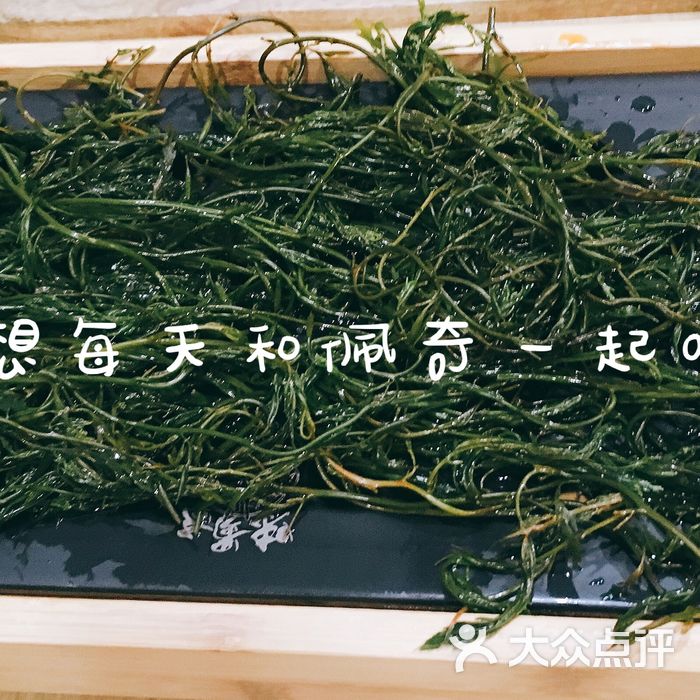 味蜀吾老火锅翡翠柳芽图片-北京四川火锅-大众点评网
