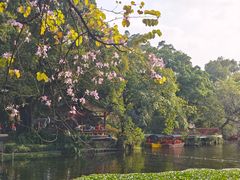 -荔湾湖公园