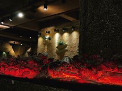 -愿者上钩(布吉老街店)