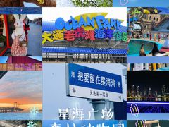 -大连老虎滩海洋公园