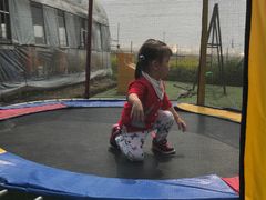 -小鱼草莓采摘园农家乐·小鱼餐厅