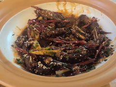 -后湖小院·乡野田园菜