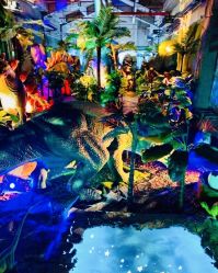 点击看大图 -恐龙探索乐园(磁器口店)