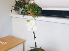 -LAB COFFEE来杯咖啡(浦仓路店)