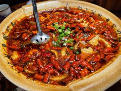 -青城甲(青城山店)