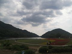 -广州市石门国家森林公园