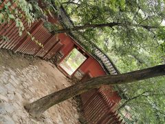 -阳台山自然风景区