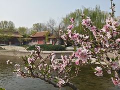 -元大都城垣遗址公园