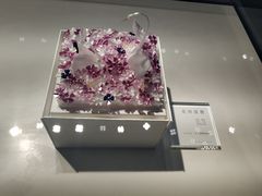 -BLACKSWAN黑天鹅(环球店)