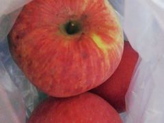 -百果园(愉景南苑店)