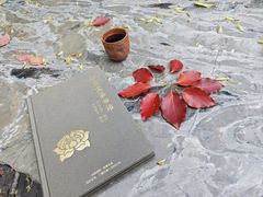 -庐山风景名胜区-东林大佛