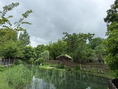 -苏州上方山国家森林公园