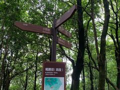 -阳台山森林公园