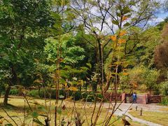 -素山寺森林公园